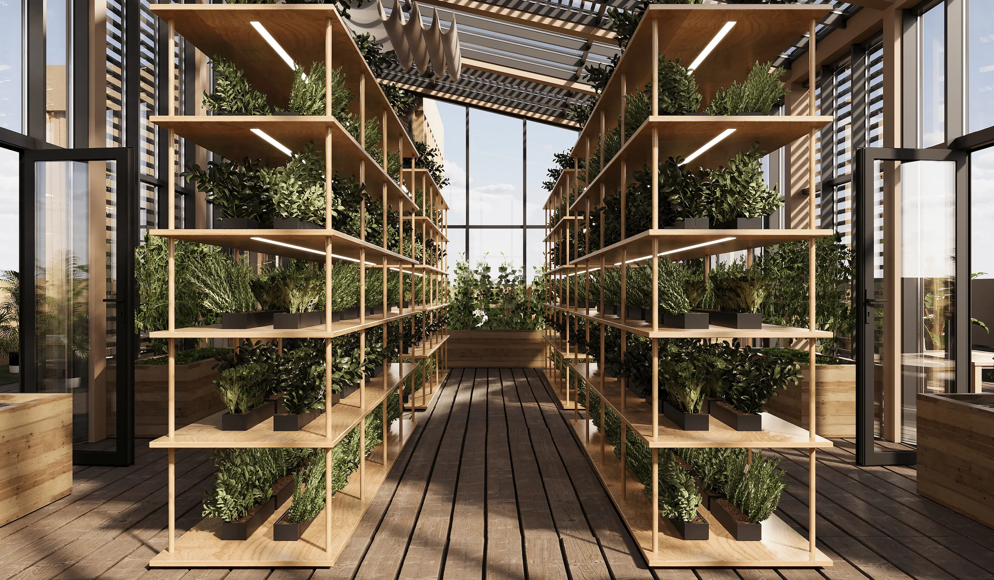 Arisha Terraces — 35