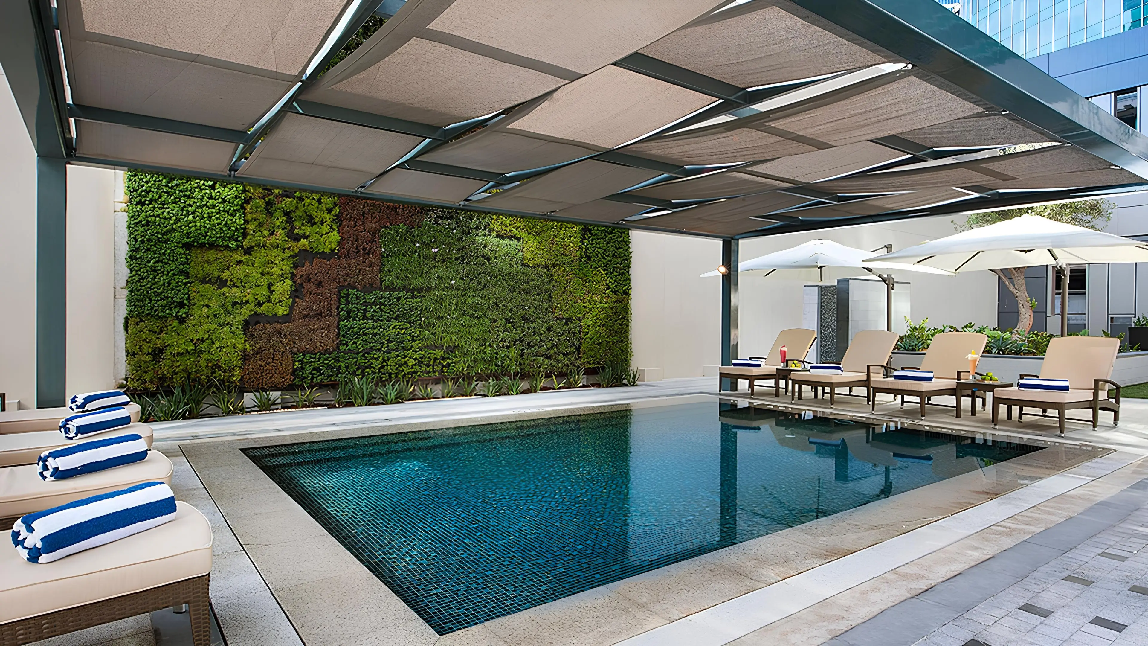 Maison Cour Jardin — 4